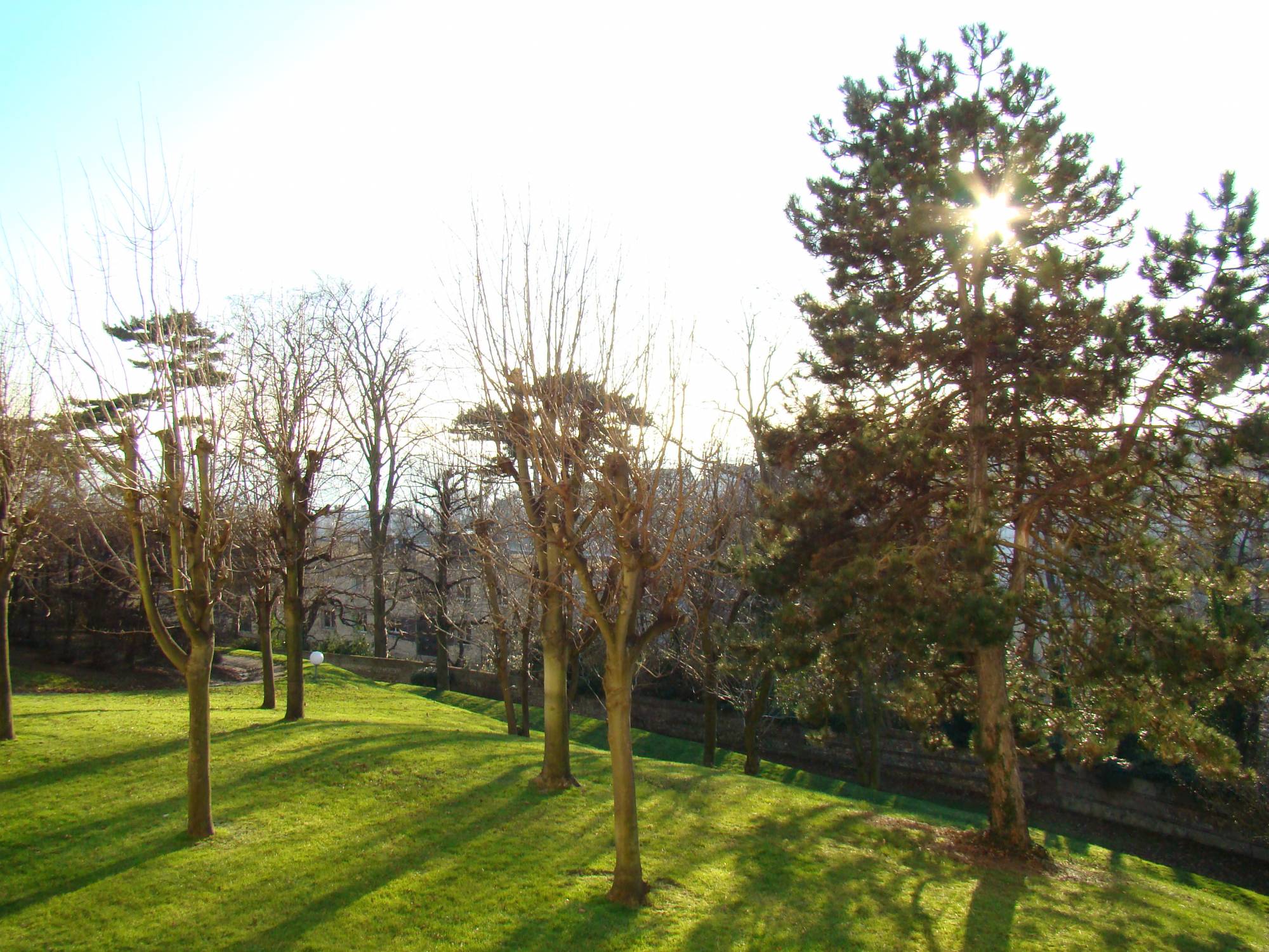 Acheter un appartement neuf et lumineux Saint-Romain-de-Colbosc