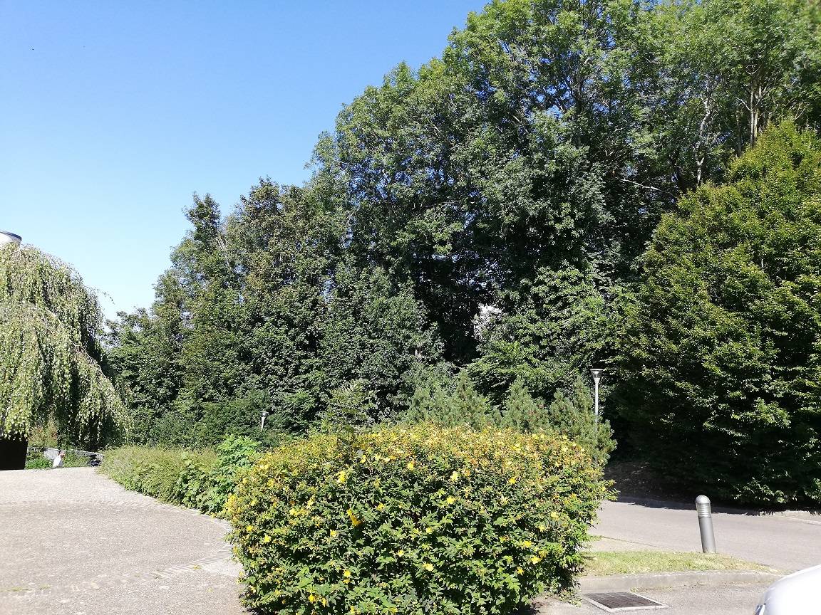 Trouver F1 sainte adresse avec agence Adrian Parker