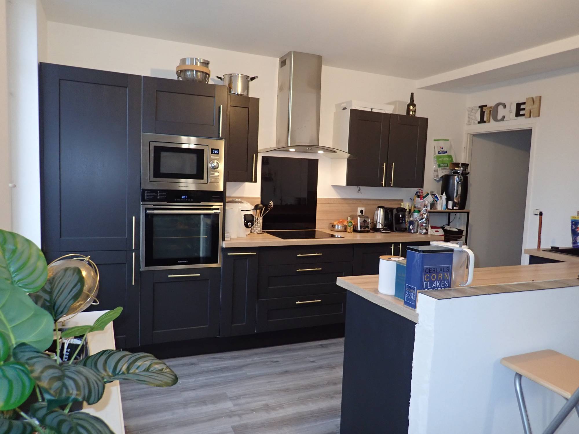 Séjour - cuisine aménagée