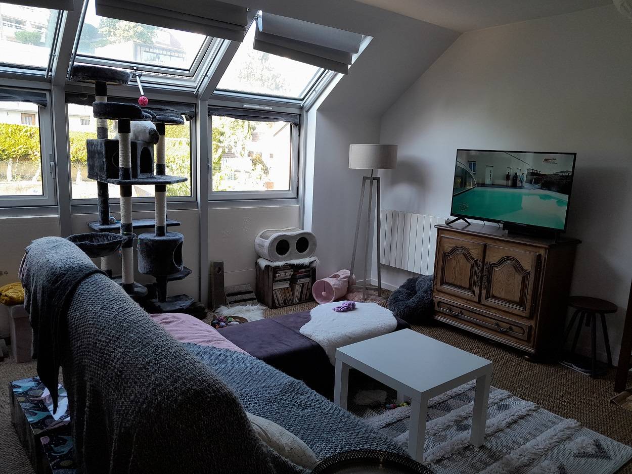 Trouver une location d'un F2 type duplex avec Agence Adrian Parker