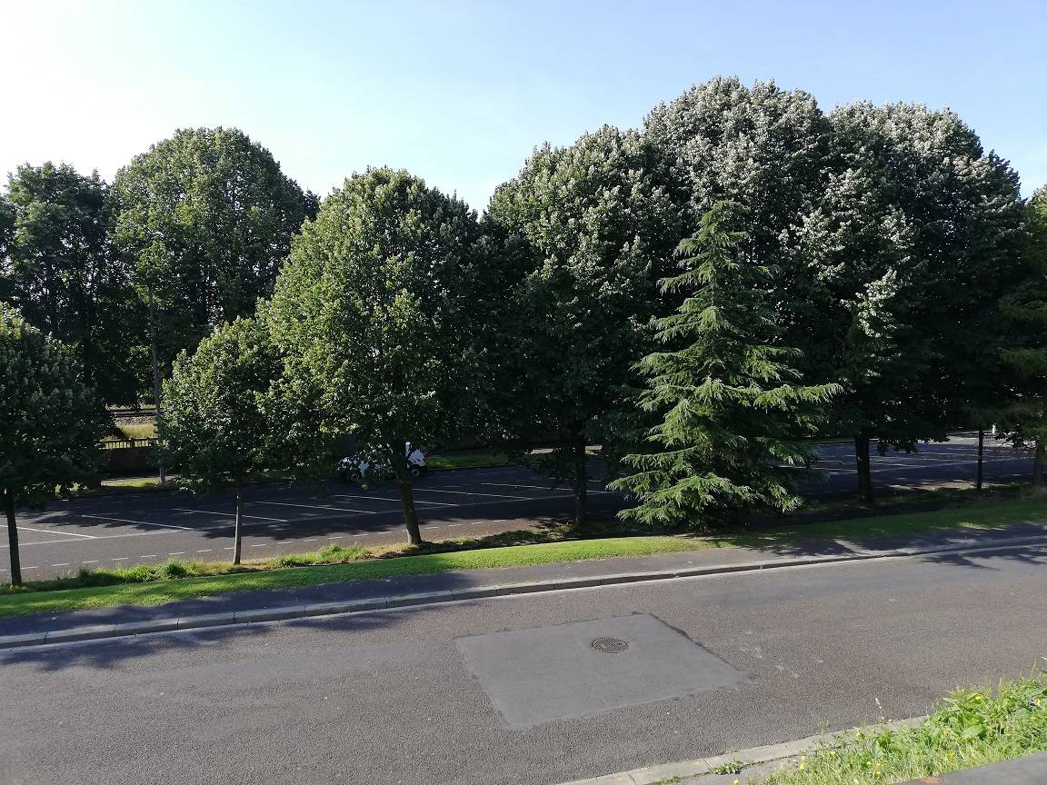 Trouver location appartement F3 avec Agence Adrian Parker