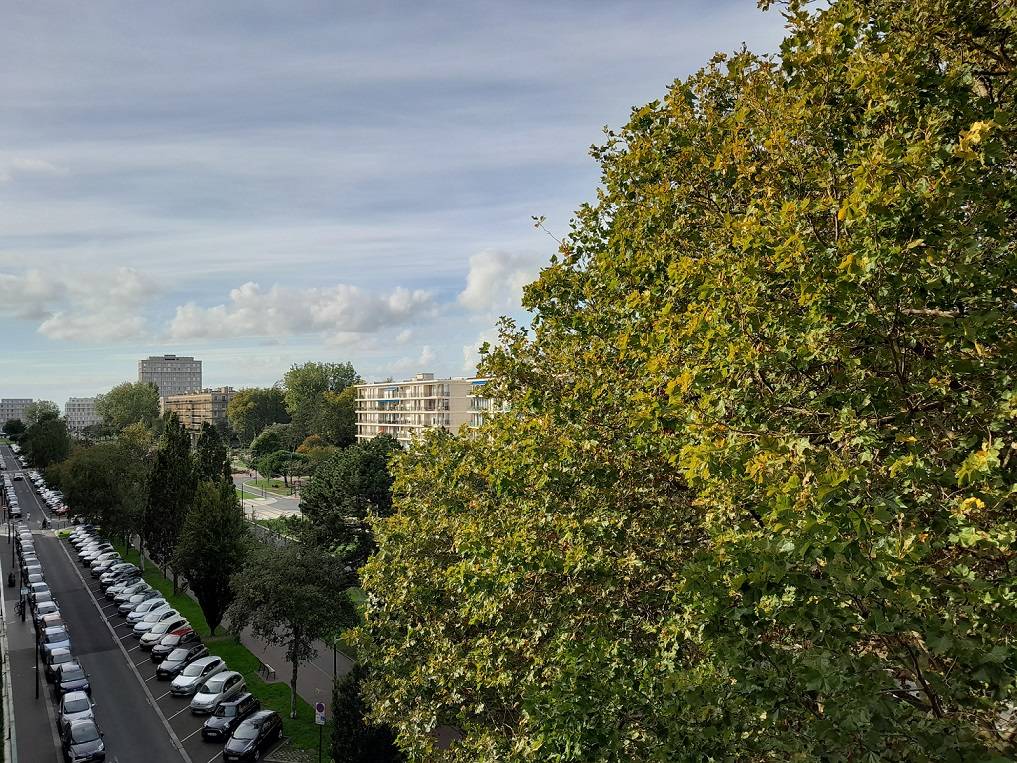 Trouver un appartement F4 en location avec Agence Adrian Parker