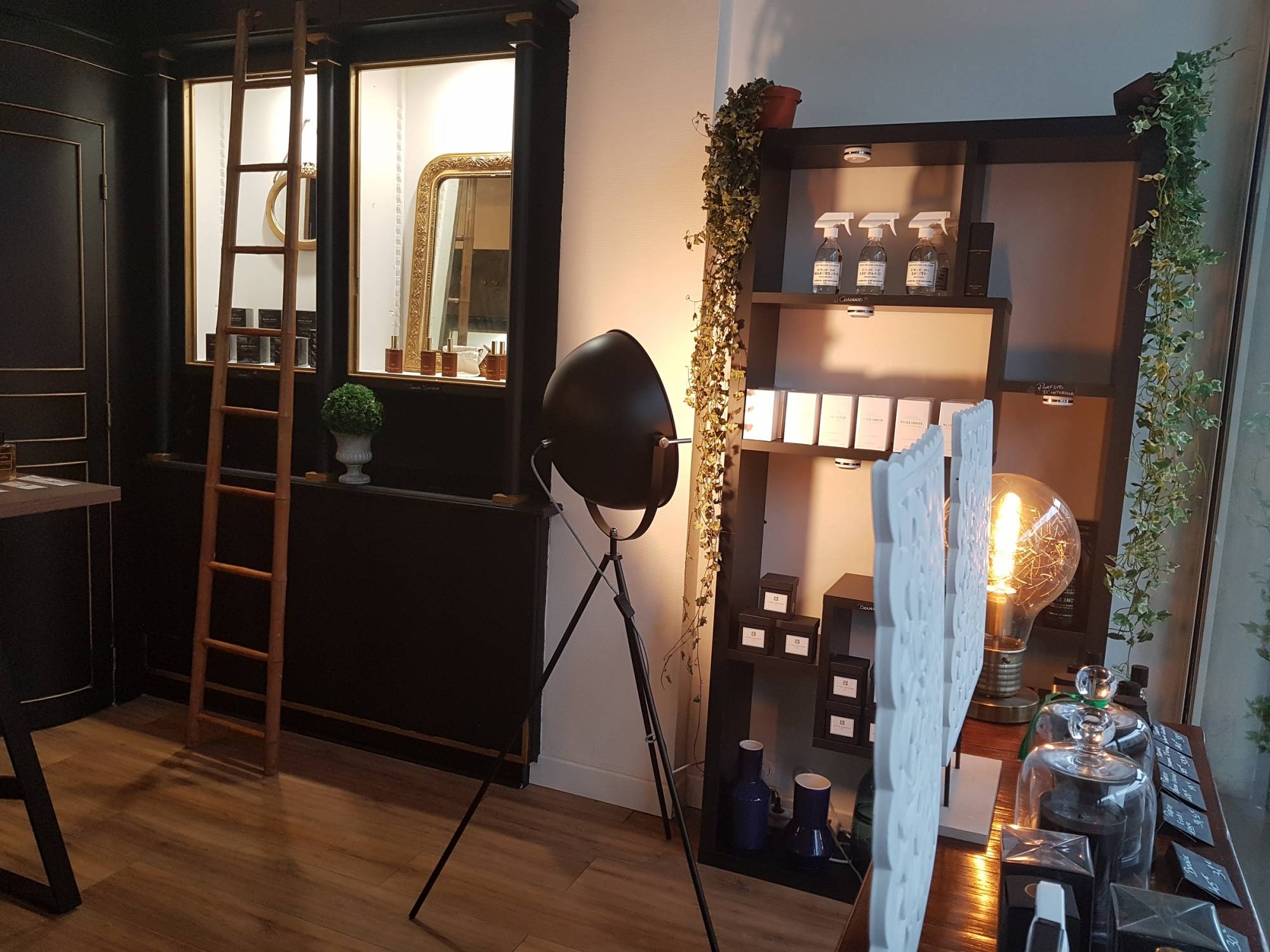 locaux commerciaux à louer en centre ville du HAVRE