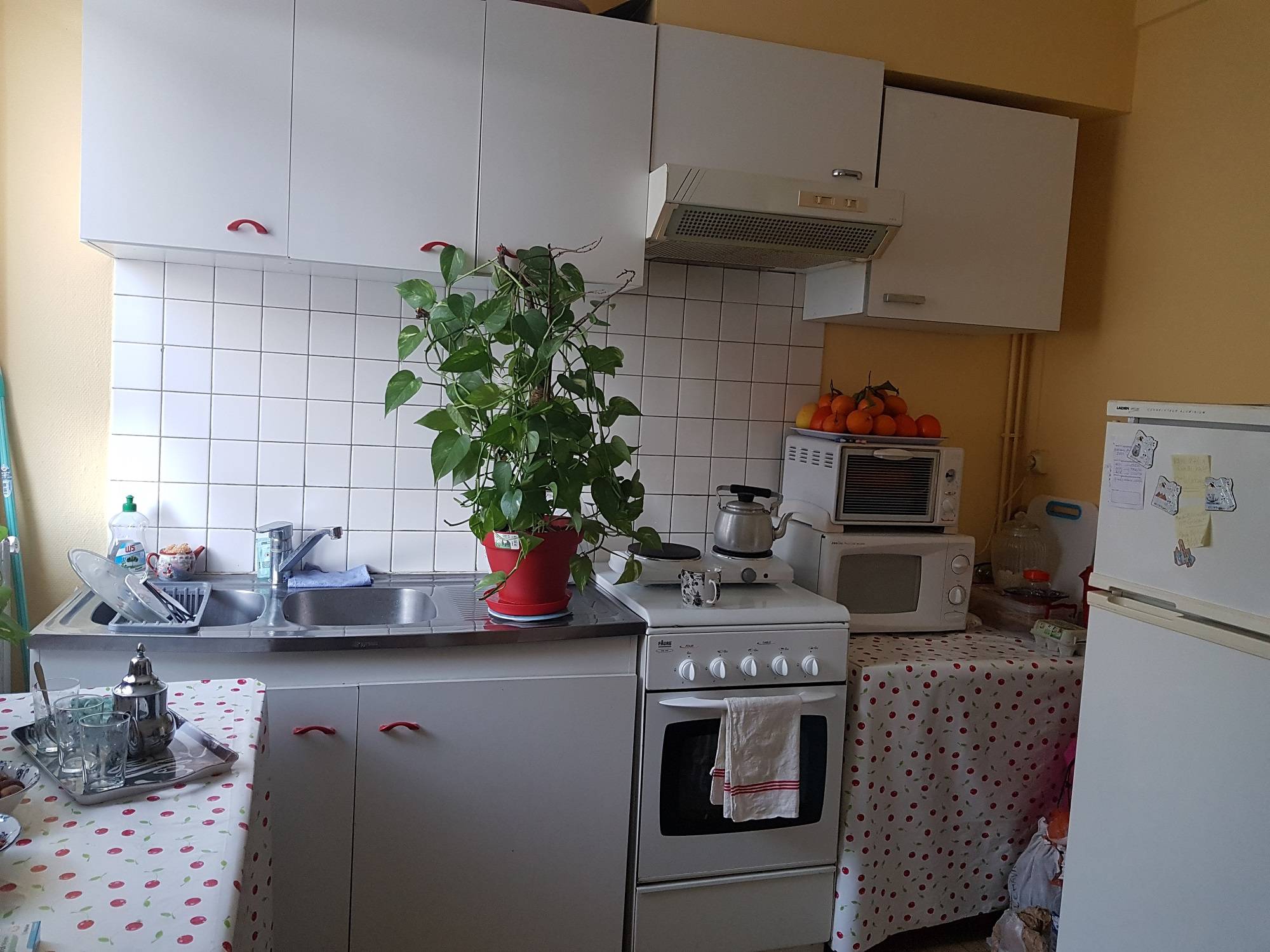 loue f1 au halles centrales