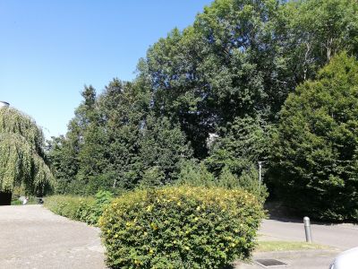 Nos prestations sur le secteur de Saint-Romain-de-Colbosc