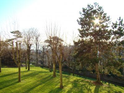 Nos prestations sur le secteur de Le Havre ville haute