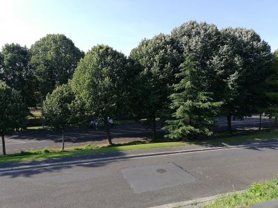 Notre zone d'activité pour ce service Entrepôts à la vente