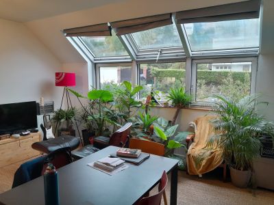 Notre zone d'activité pour ce service Agence immobilière pour location d'appartements et de maisons