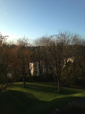 Notre zone d'activité pour ce service Appartement F2 à vendre avec cave